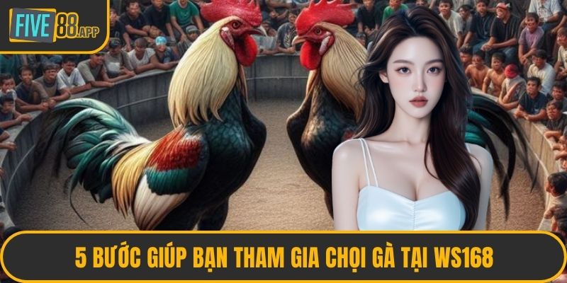 5 bước giúp bạn tham gia chọi gà tại WS168