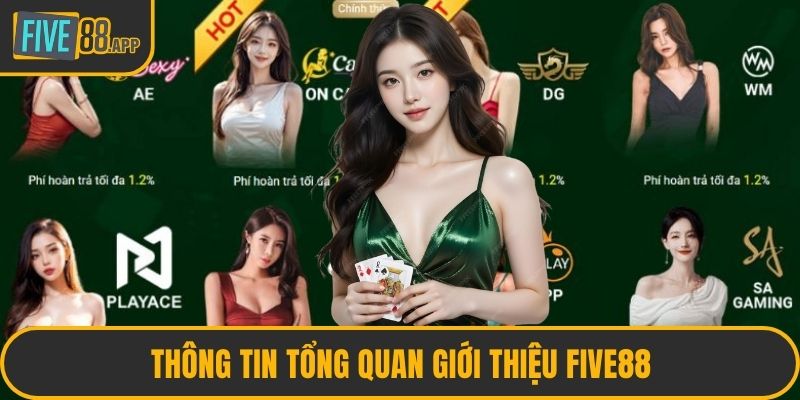 Thông tin tổng quan giới thiệu FIVE88